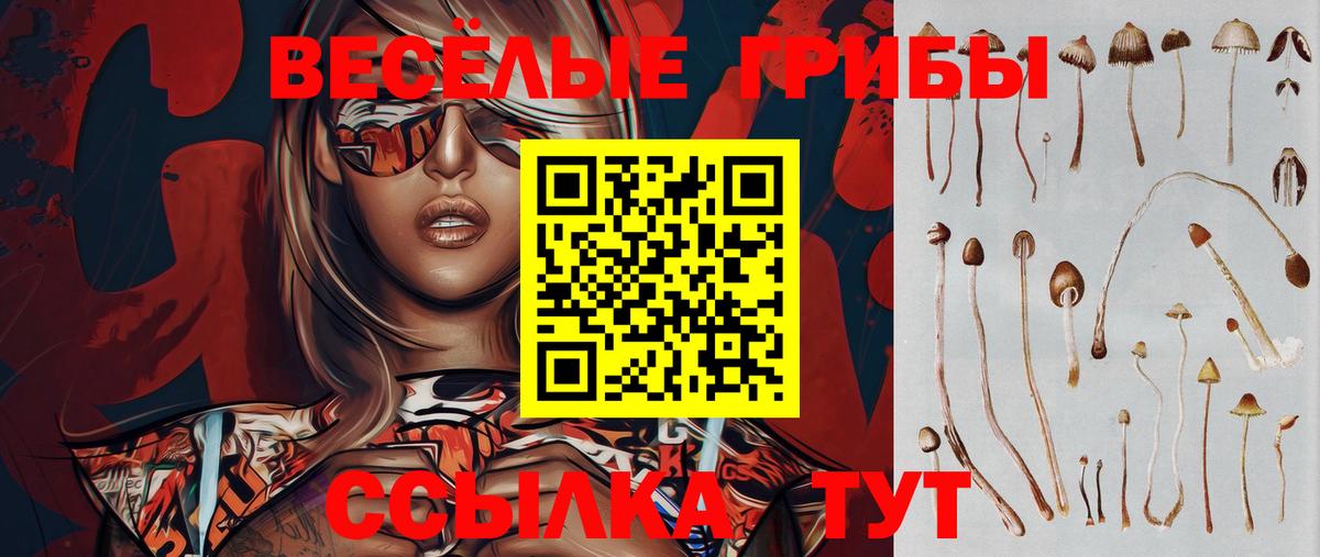 Галлюциногенные грибы прущие грибы  Вход с VPN  Красноуфимск 